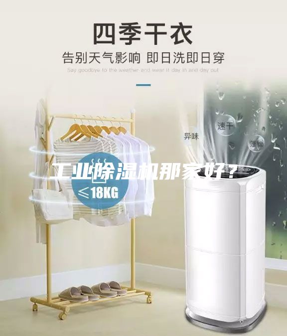 工業(yè)除濕機(jī)那家好？