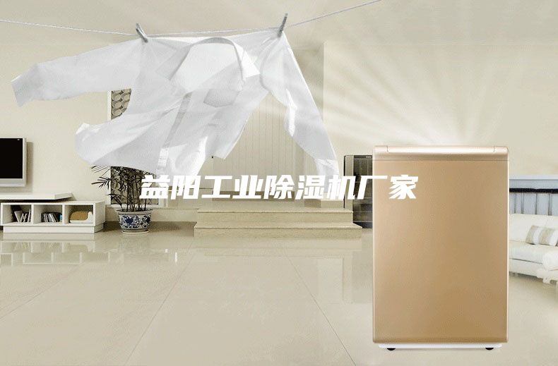 益陽(yáng)工業(yè)除濕機(jī)廠(chǎng)家