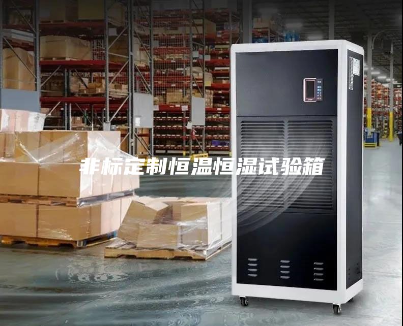 非標(biāo)定制恒溫恒濕試驗箱