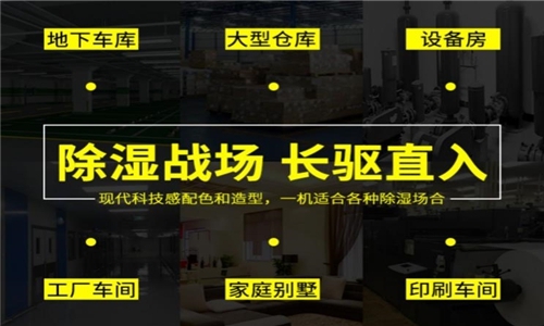秋冬防濕冷，家里怎么除濕最好？