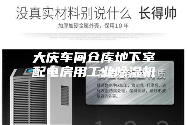 大慶車(chē)間倉(cāng)庫(kù)地下室配電房用工業(yè)除濕機(jī)