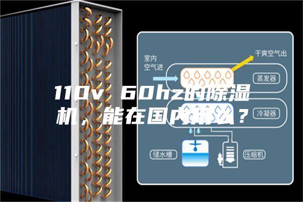 110v 60hz的除濕機，能在國內用么？