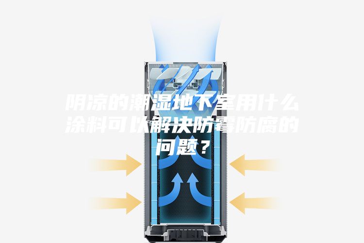 陰涼的潮濕地下室用什么涂料可以解決防霉防腐的問題？