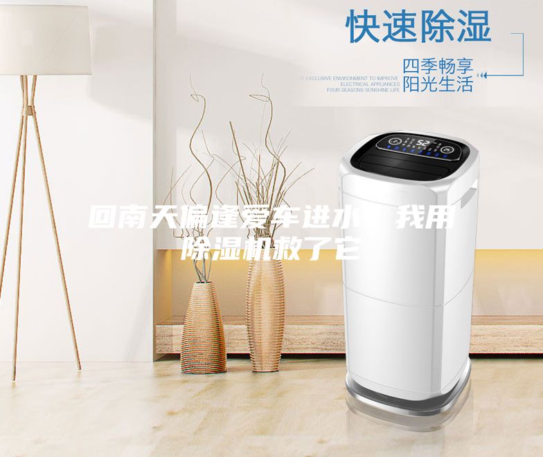 回南天偏逢愛(ài)車(chē)進(jìn)水，我用除濕機(jī)救了它
