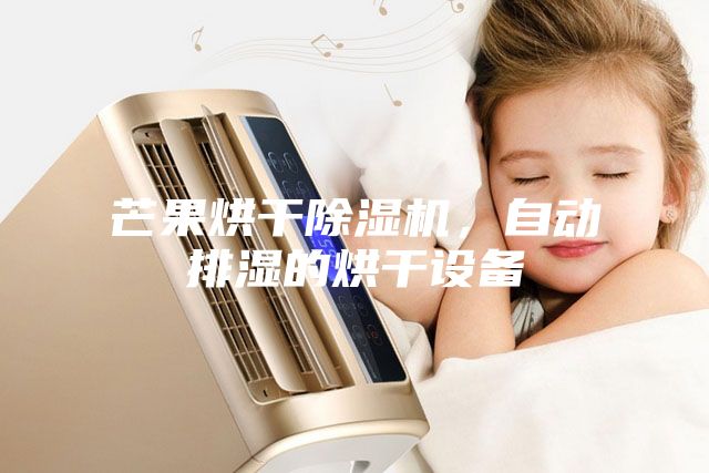 芒果烘干除濕機(jī)，自動(dòng)排濕的烘干設(shè)備