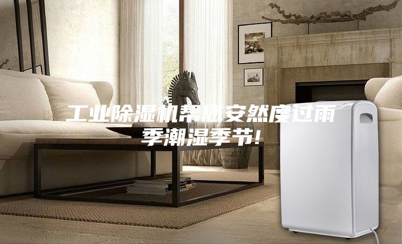 工業(yè)除濕機(jī)幫您安然度過(guò)雨季潮濕季節(jié)!