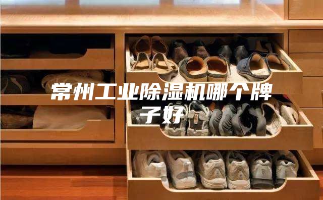 常州工業(yè)除濕機哪個牌子好