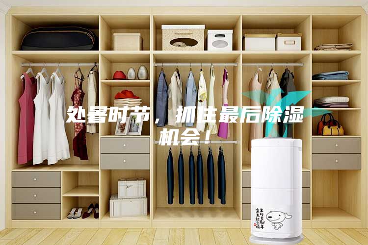 處暑時節，抓住最后除濕機會！