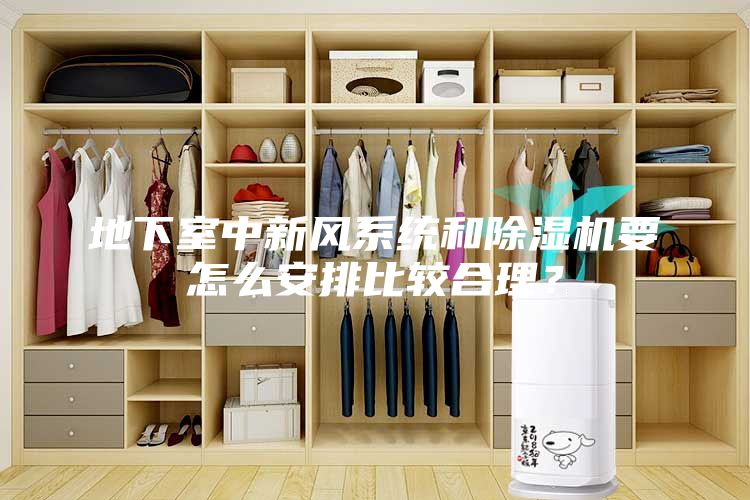 地下室中新風系統和除濕機要怎么安排比較合理？