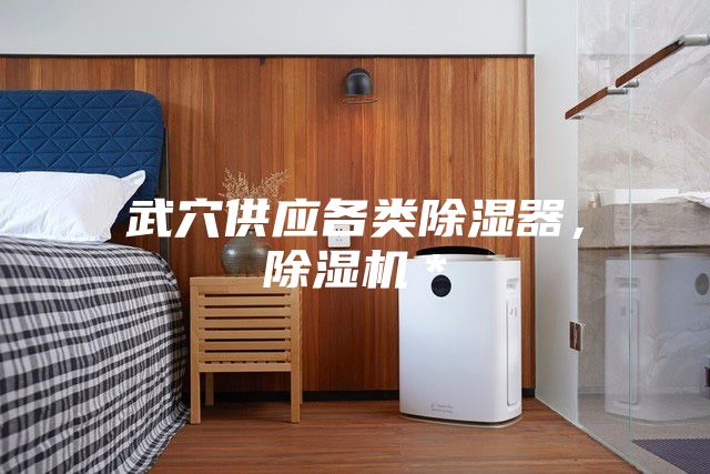 武穴供應(yīng)各類除濕器，除濕機(jī)＊