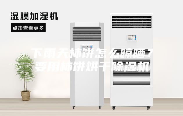 下雨天柿餅怎么晾曬？要用柿餅烘干除濕機