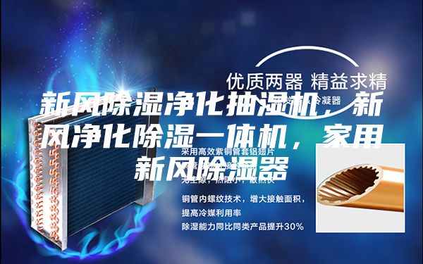 新風除濕凈化抽濕機，新風凈化除濕一體機，家用新風除濕器