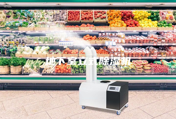 地下室立式除濕機