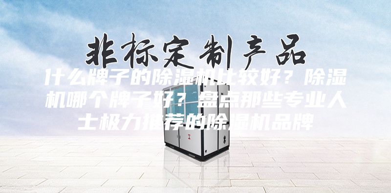 什么牌子的除濕機(jī)比較好？除濕機(jī)哪個(gè)牌子好？盤(pán)點(diǎn)那些專(zhuān)業(yè)人士極力推薦的除濕機(jī)品牌