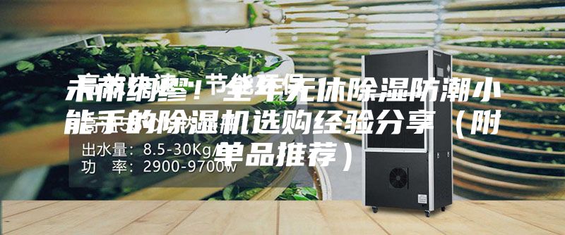未雨綢繆！全年無休除濕防潮小能手的除濕機選購經驗分享（附單品推薦）