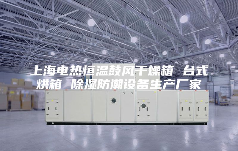 上海電熱恒溫鼓風干燥箱 臺式烘箱 除濕防潮設備生產(chǎn)廠家