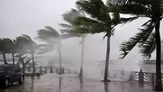 8月臺風雨即將來，除濕機還得用起來
