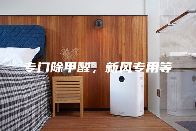 專門除甲醛，新風專用等