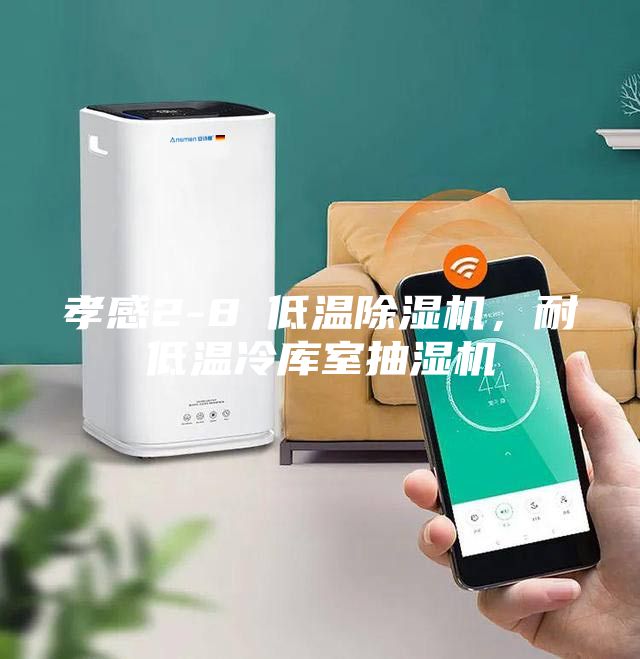 孝感2-8℃低溫除濕機(jī)，耐低溫冷庫室抽濕機(jī)