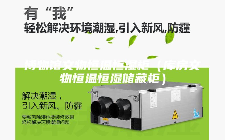 博物館文物恒溫恒濕柜（庫房文物恒溫恒濕儲藏柜）