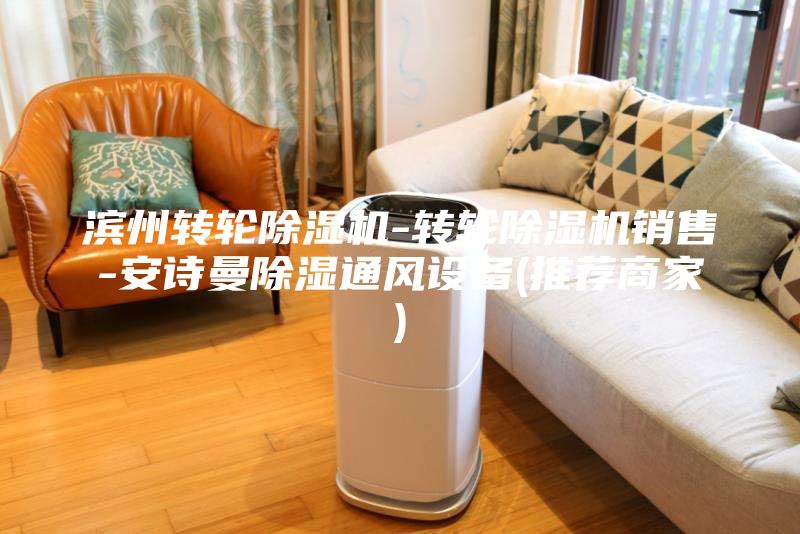 濱州轉(zhuǎn)輪除濕機(jī)-轉(zhuǎn)輪除濕機(jī)銷(xiāo)售-安詩(shī)曼除濕通風(fēng)設(shè)備(推薦商家)