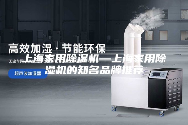 上海家用除濕機(jī)—上海家用除濕機(jī)的知名品牌推薦