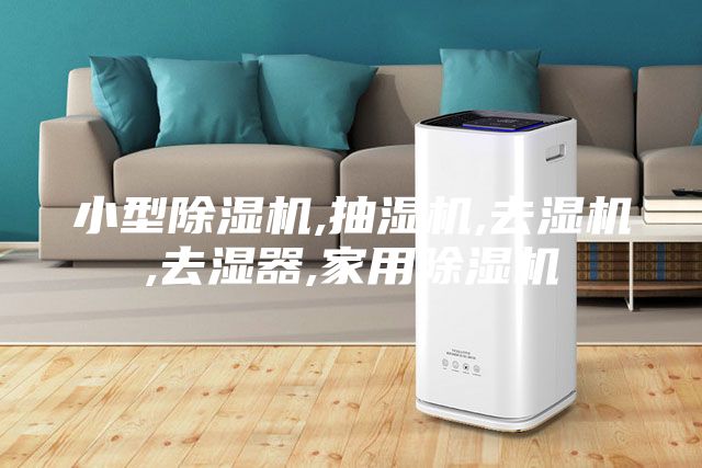 小型除濕機,抽濕機,去濕機,去濕器,家用除濕機