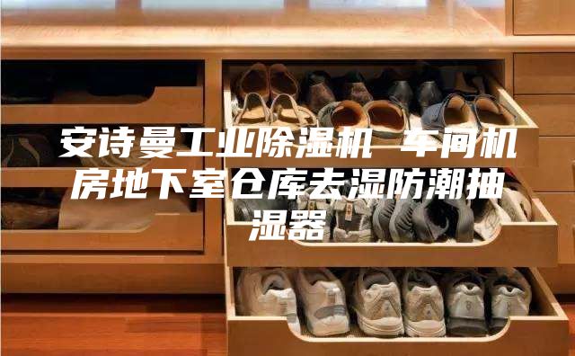 安詩曼工業(yè)除濕機(jī) 車間機(jī)房地下室倉庫去濕防潮抽濕器