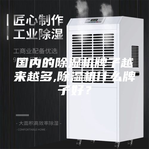 國(guó)內(nèi)的除濕機(jī)牌子越來越多,除濕機(jī)什么牌子好？