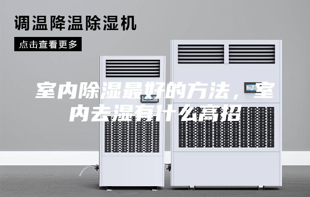 室內(nèi)除濕最好的方法，室內(nèi)去濕有什么高招