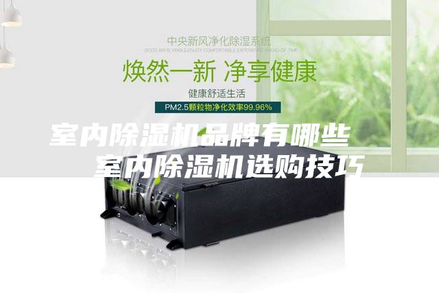 室內(nèi)除濕機品牌有哪些   室內(nèi)除濕機選購技巧