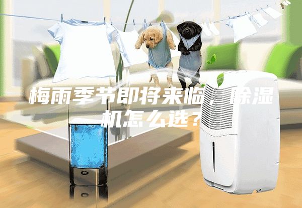 梅雨季節即將來臨，除濕機怎么選？