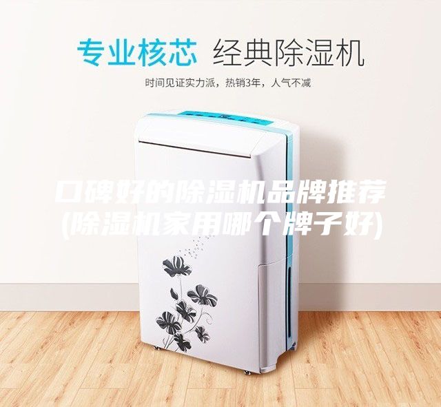 口碑好的除濕機品牌推薦(除濕機家用哪個牌子好)