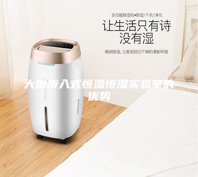 大型步入式恒溫恒濕實驗室的優勢