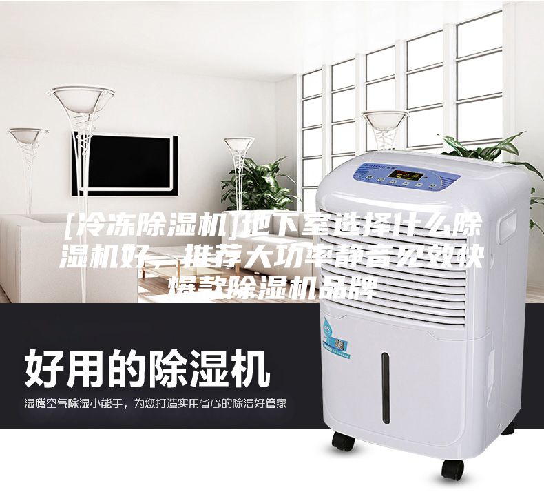 [冷凍除濕機(jī)]地下室選擇什么除濕機(jī)好，推薦大功率靜音見(jiàn)效快爆款除濕機(jī)品牌