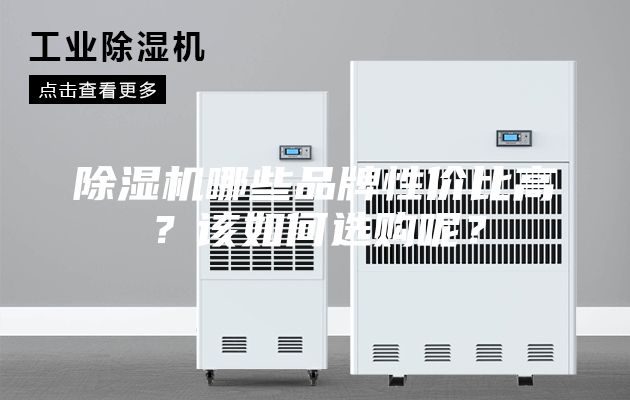 除濕機(jī)哪些品牌性價(jià)比高？該如何選購呢？