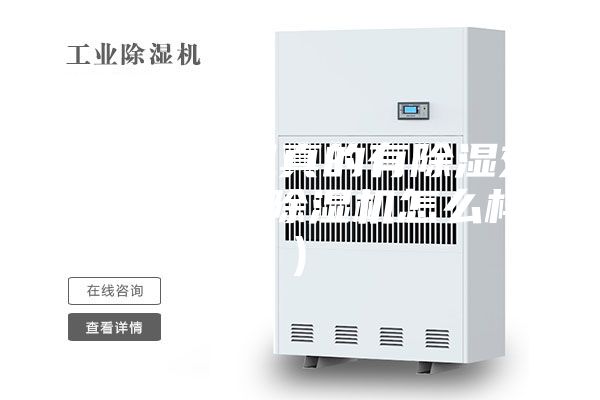 家用除濕機真的有除濕效果嗎(室內除濕機怎么樣)
