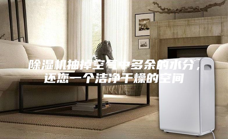 除濕機抽掉空氣中多余的水分，還您一個潔凈干燥的空間