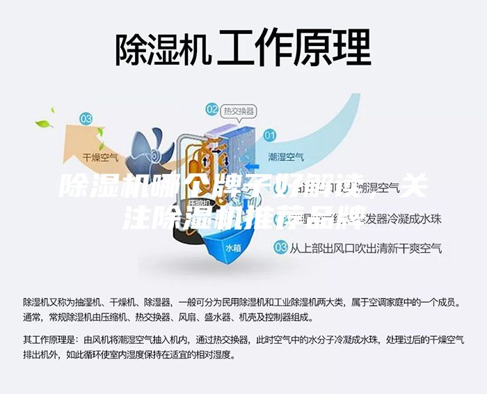 除濕機(jī)哪個(gè)牌子好解讀，關(guān)注除濕機(jī)推薦品牌