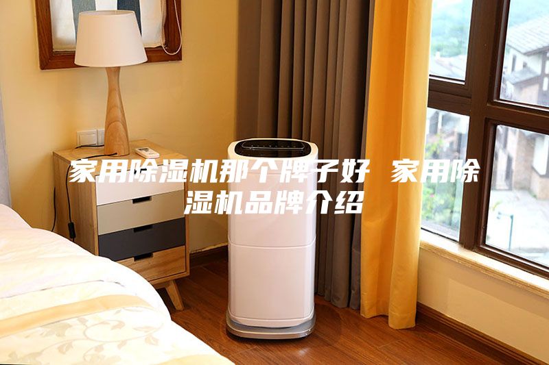 家用除濕機那個牌子好 家用除濕機品牌介紹