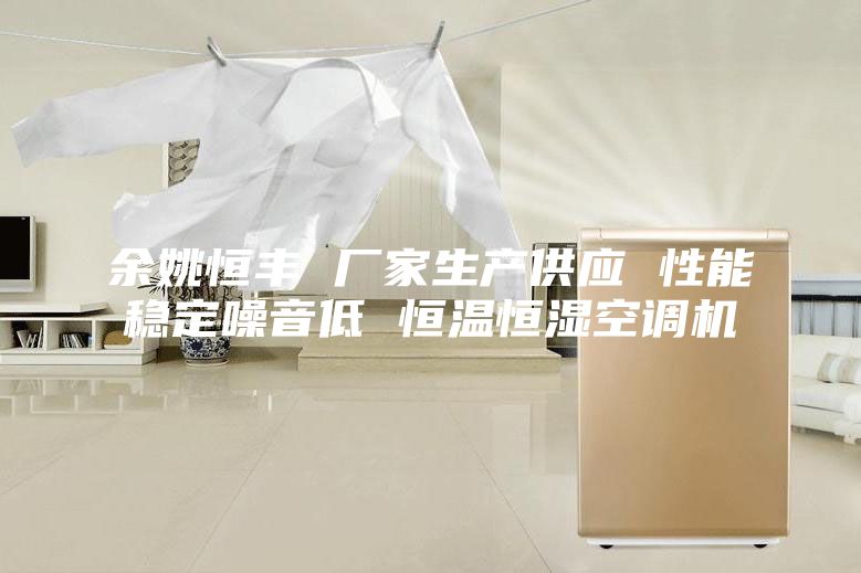 余姚恒豐 廠家生產供應 性能穩定噪音低 恒溫恒濕空調機