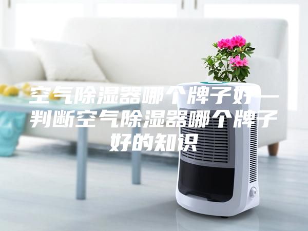 空氣除濕器哪個牌子好—判斷空氣除濕器哪個牌子好的知識
