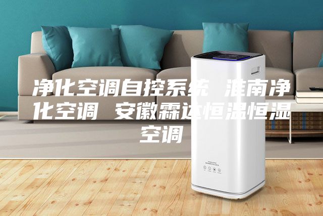 凈化空調自控系統(tǒng) 淮南凈化空調 安徽霖達恒溫恒濕空調
