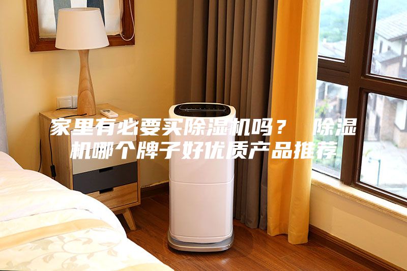 家里有必要買(mǎi)除濕機(jī)嗎？ 除濕機(jī)哪個(gè)牌子好優(yōu)質(zhì)產(chǎn)品推薦
