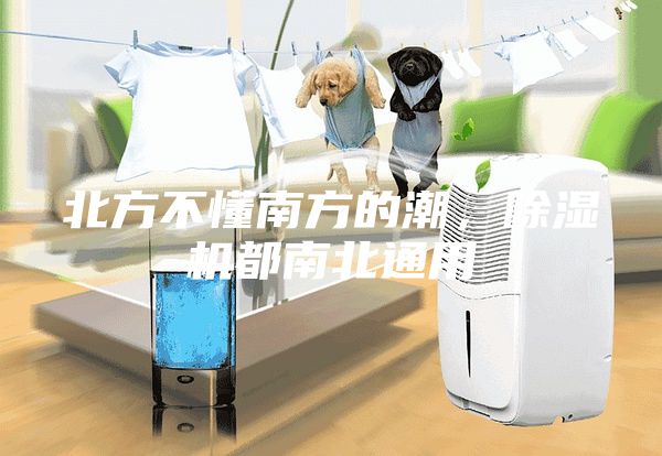 北方不懂南方的潮，除濕機都南北通用