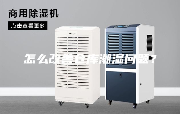 怎么改善倉庫潮濕問題？