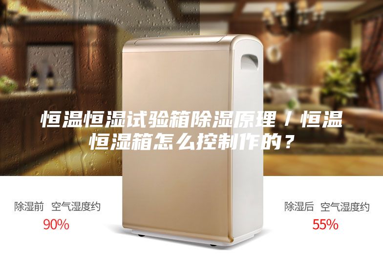 恒溫恒濕試驗箱除濕原理／恒溫恒濕箱怎么控制作的？