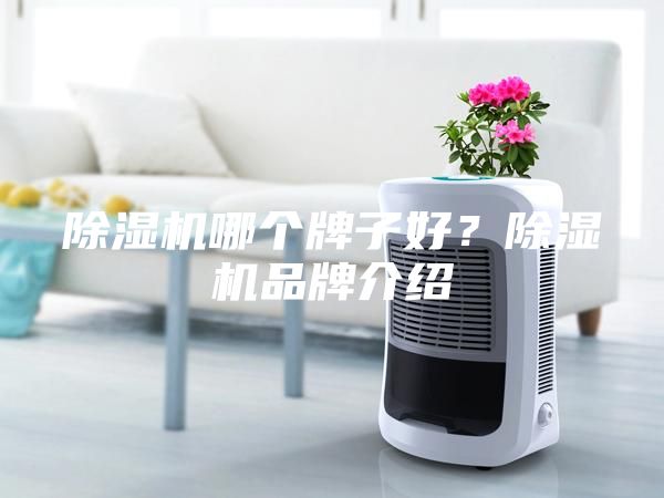除濕機哪個牌子好？除濕機品牌介紹