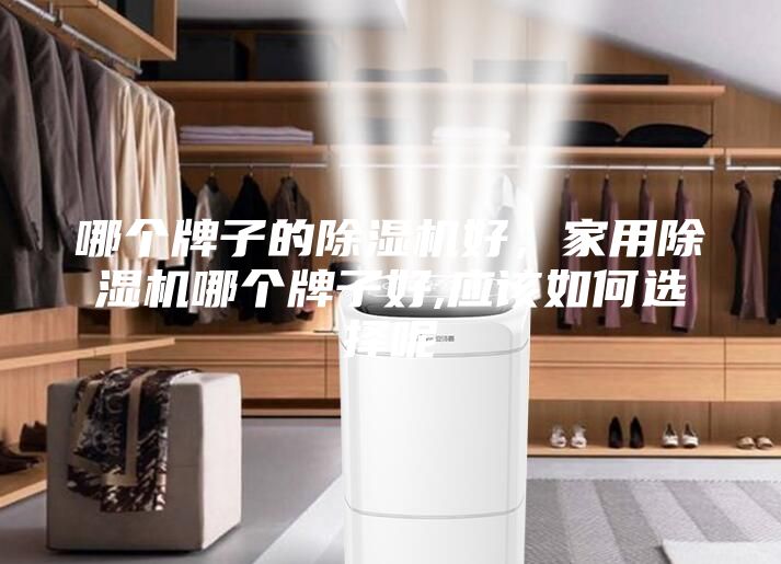 哪個(gè)牌子的除濕機(jī)好，家用除濕機(jī)哪個(gè)牌子好,應(yīng)該如何選擇呢