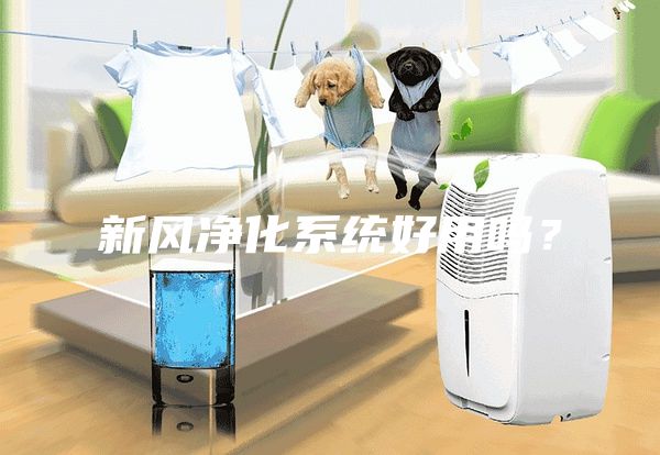 新風(fēng)凈化系統(tǒng)好用嗎？